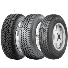 Diplomat Winter ST 195/65 R15 91T